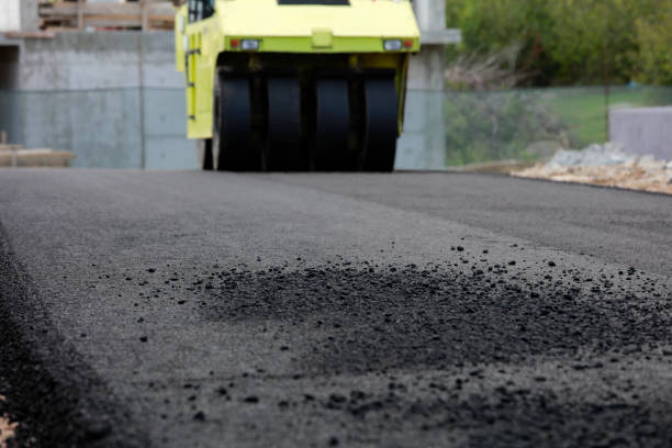 Best Driveway Pavers Near Me  in Roxboro, NC