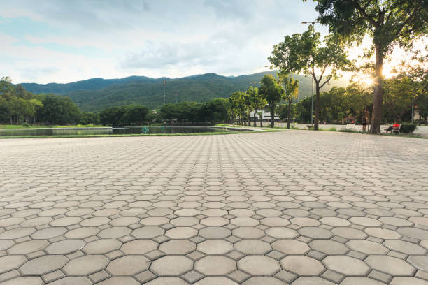 Best Residential Paver Driveway  in Roxboro, NC